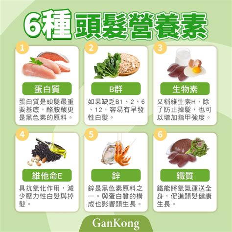 毛髮多|吃什麼頭髮變多？營養師：7大食物防掉髮！快戒掉5大壞習慣